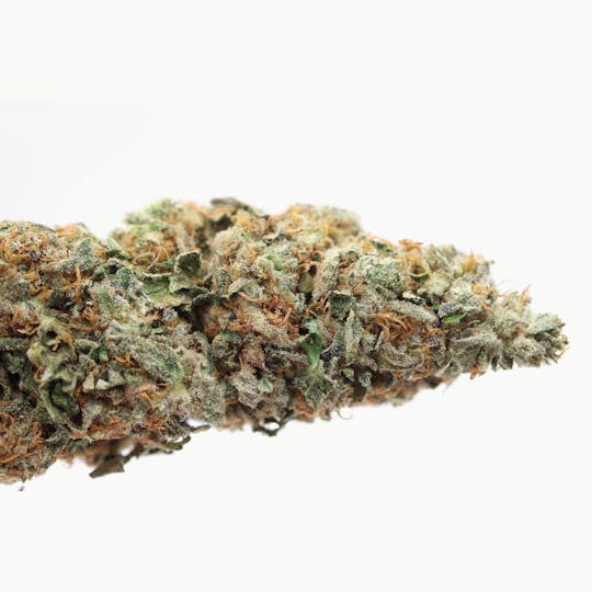 Elevation 207 - Salmon River OG - 1