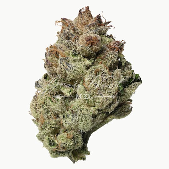 Grow West Cannabis Company - Chem 4 OG x The White | Premium | Hand-Trimmed Flower - 1