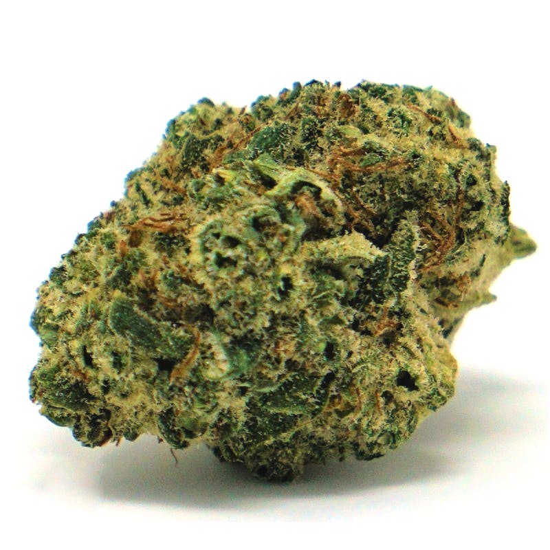 Mayflower Medicinals - Bullfighter - 1