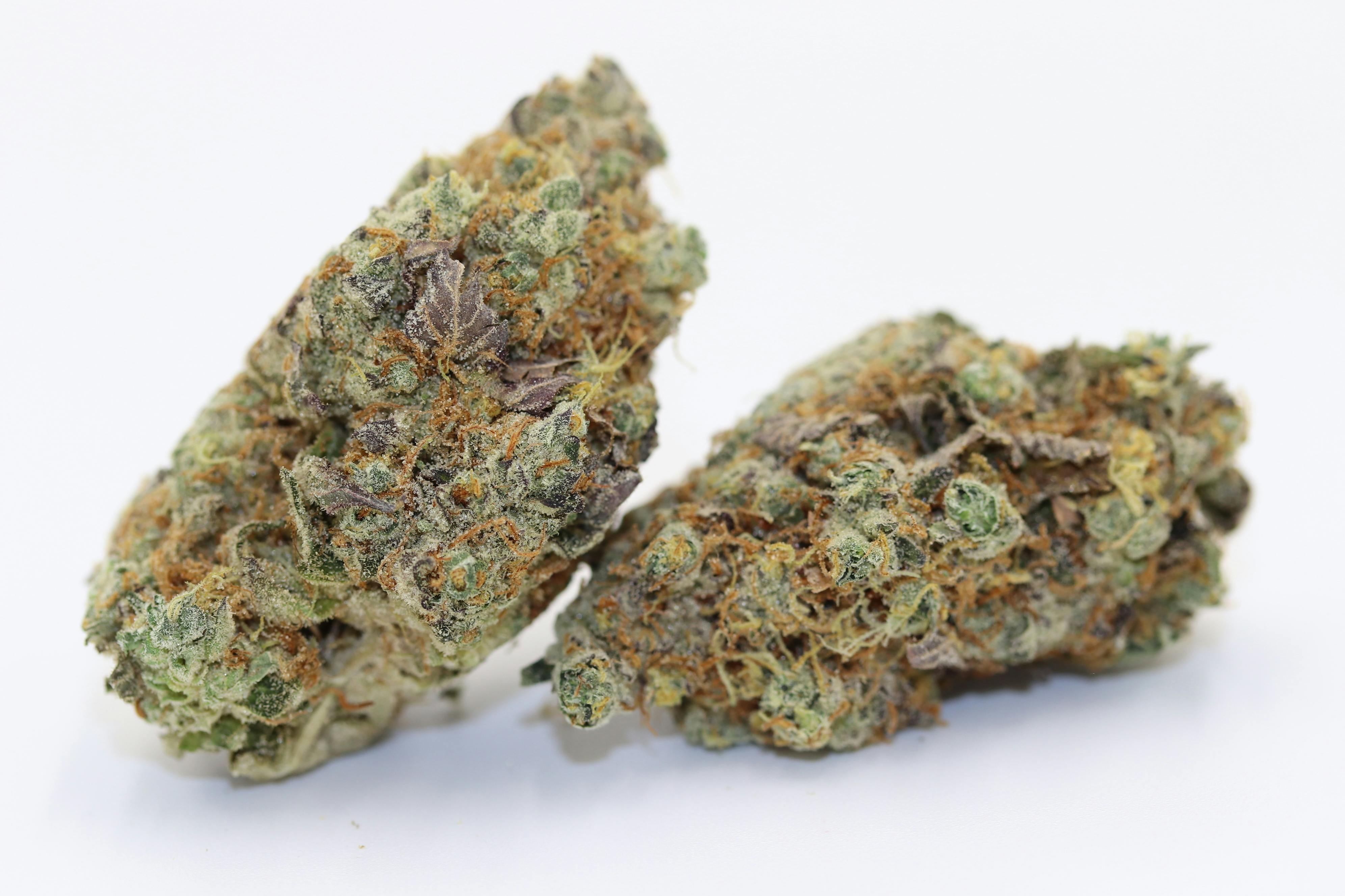 Elevation 207 - GMO - Garlic Cookies - 1