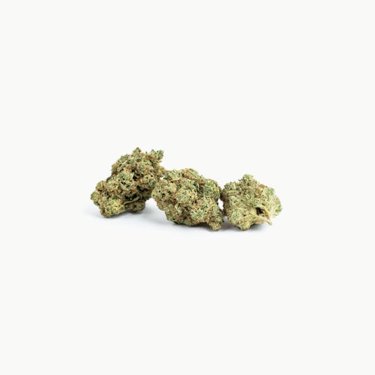 Seed & Smith Cannabis - Motor Breath #15 - 1