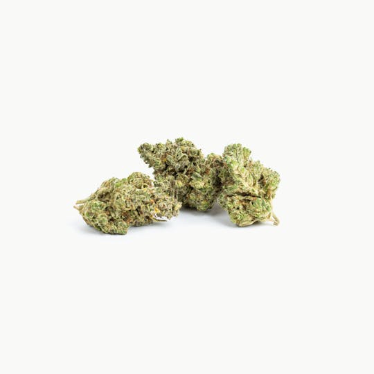 Seed & Smith Cannabis - Original Glue - 1
