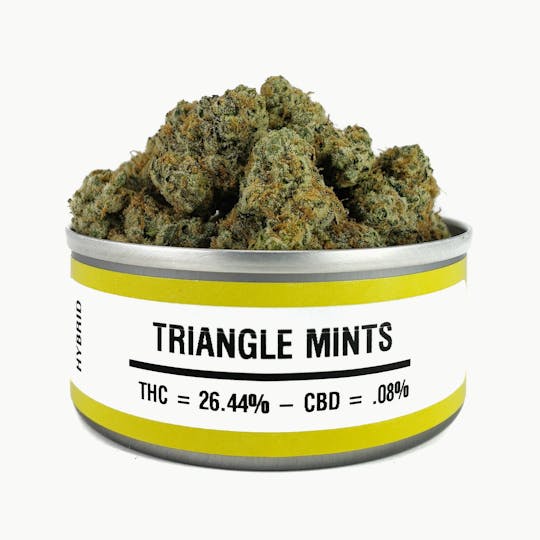 Space Monkey Meds - Triangle Mints - 1