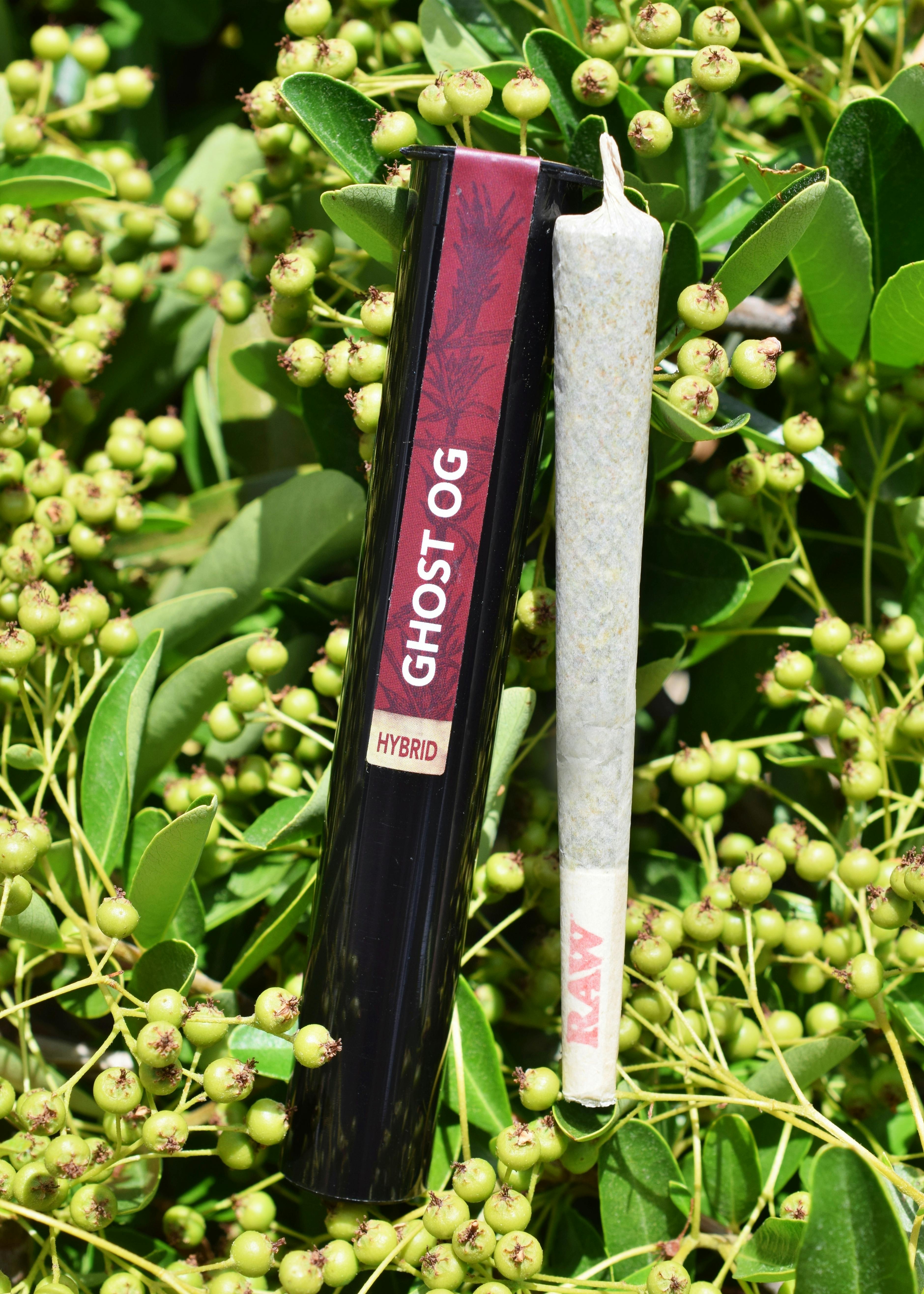 GLP - Ghost OG Pre-Roll - 1