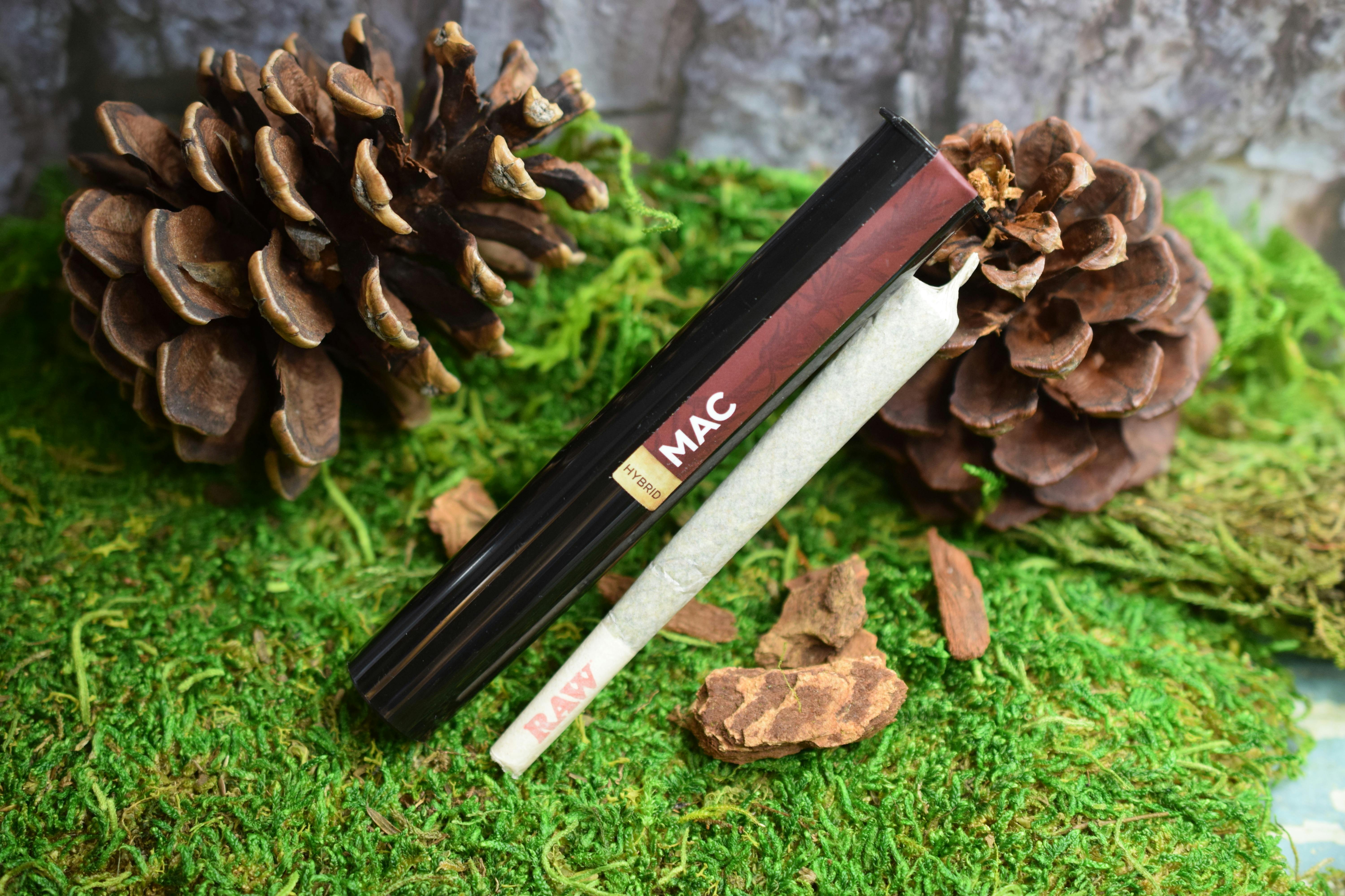 GLP - MAC (Miracle Alien Cookies) Pre-Roll - 1