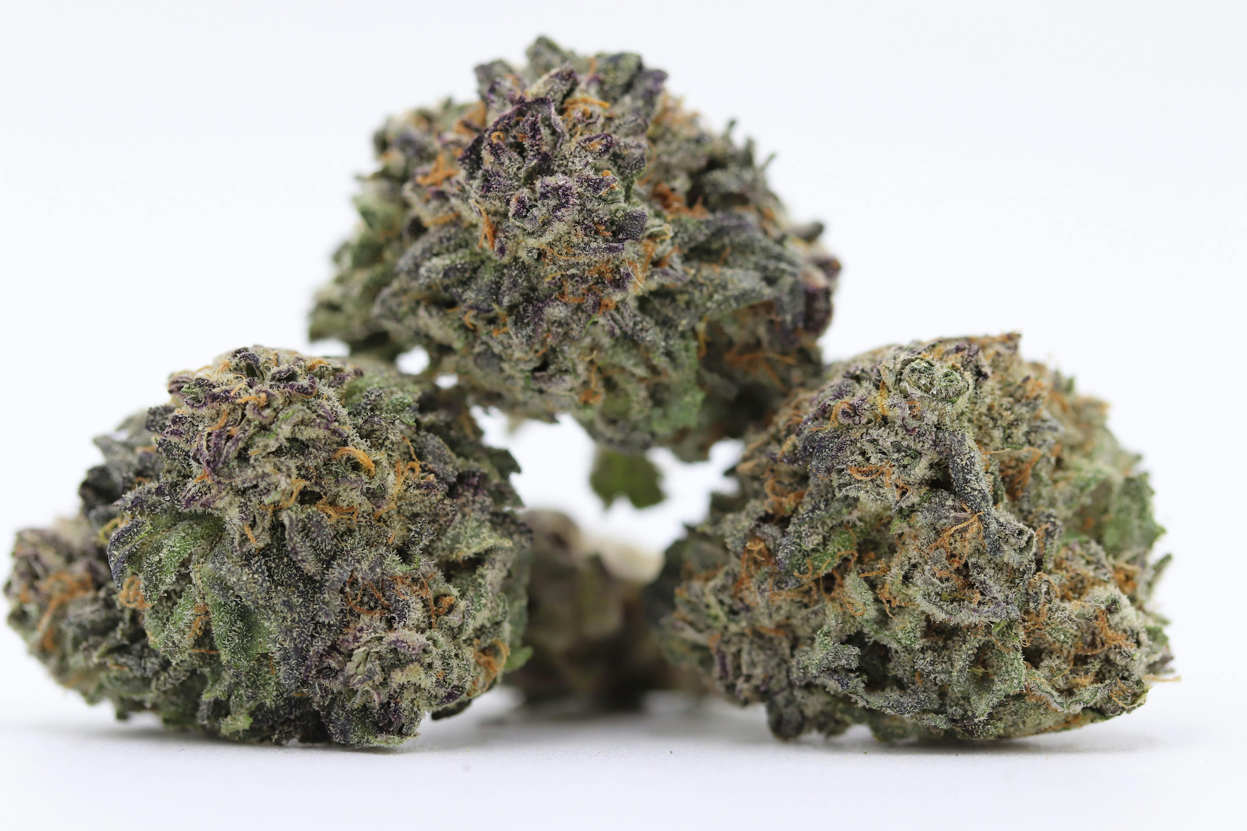 Elevation 207 - Blackberry Cream - 1