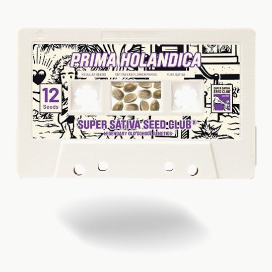 Super Sativa Seed Club - PRIMA HOLANDICA - 1
