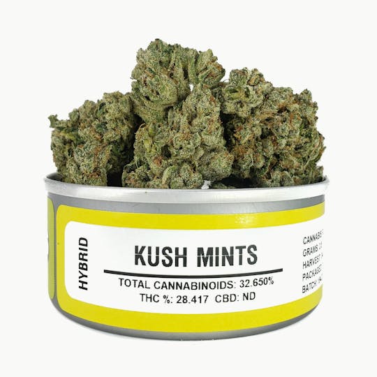 Space Monkey Meds - Kush Mints - 1