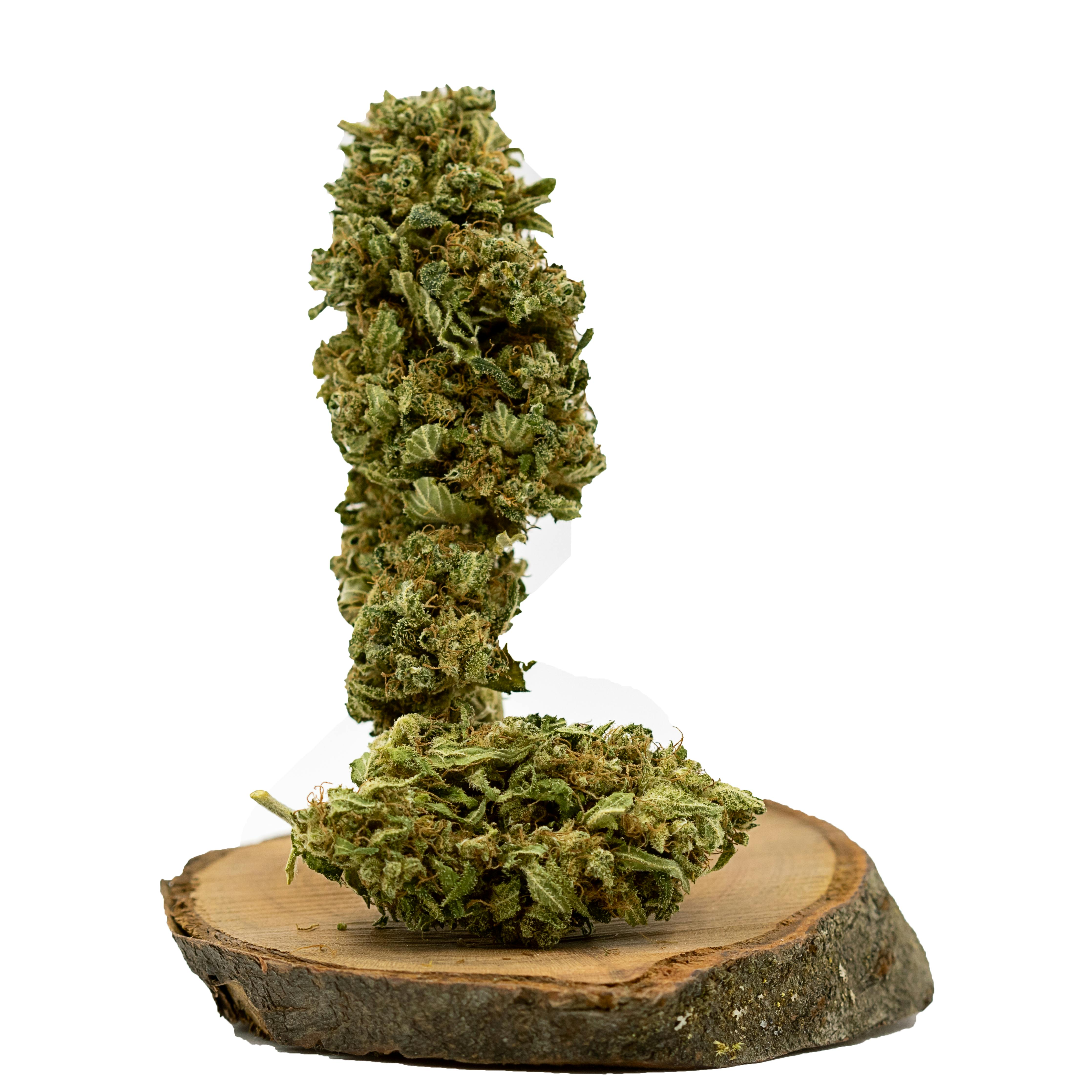 supHerb (AT) - Barely Legal - 1