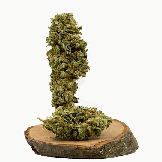 supHerb (AT) - Barely Legal - 1