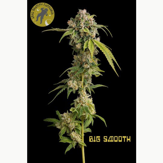 Zero Gravity Cannabis - Flower - Big Smooth 60/40 Indica Dominant - 1