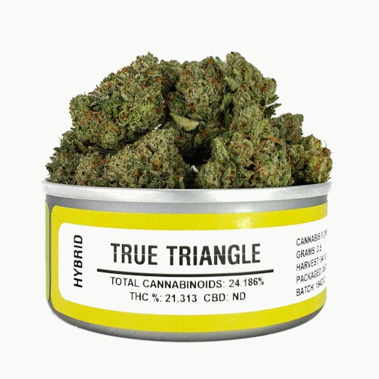 Space Monkey Meds - True Triangle - 1