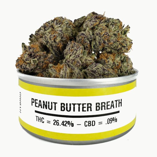 Space Monkey Meds - Peanut Butter Breath - 1