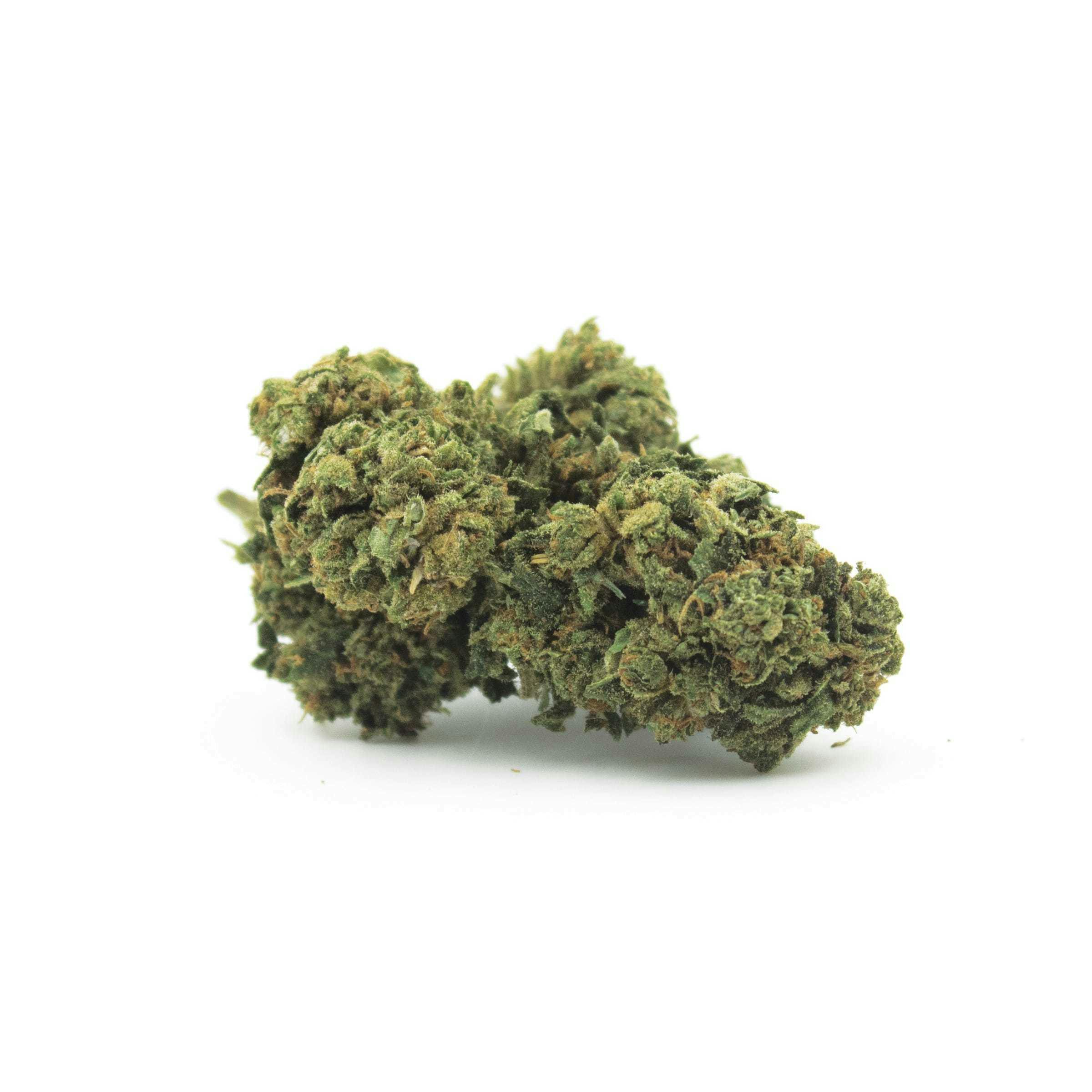 The Secret Pot - PURPLE HAZE - 1