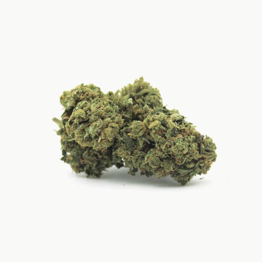 The Secret Pot - PURPLE HAZE - 1