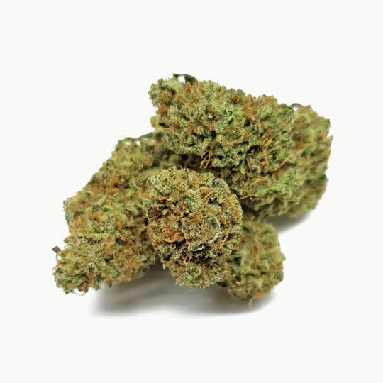 Delightful Hights - Purple Chem (green phenotype) - 1