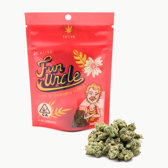 Fun Uncle - Backseat Jack - 1