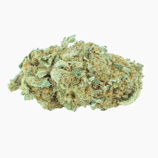 Herba di Berna AG - Indoor CBD-reiche Hanfblüten: Cannatonic - 1