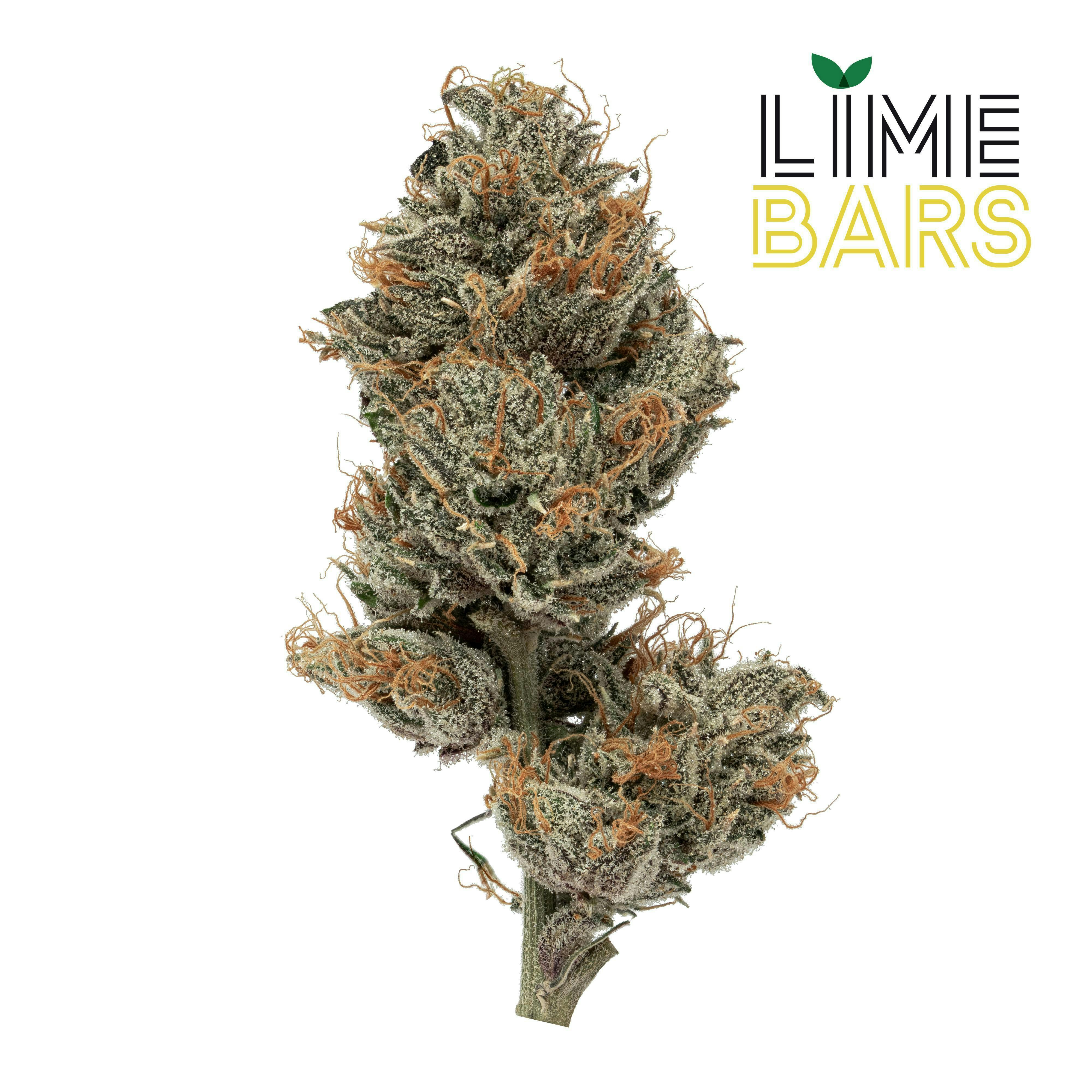 Hazy Hill Farm - Lime Bars - 1