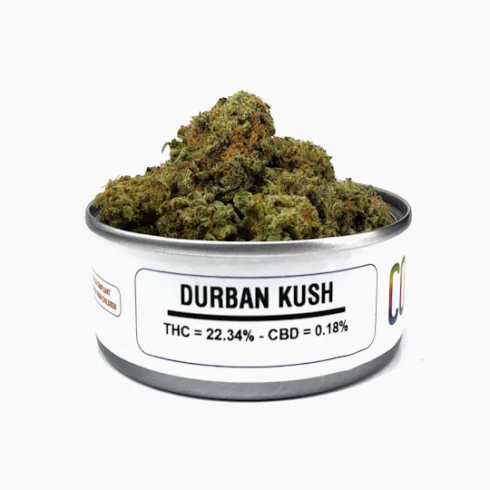 Colored California - Durban Kush - 1