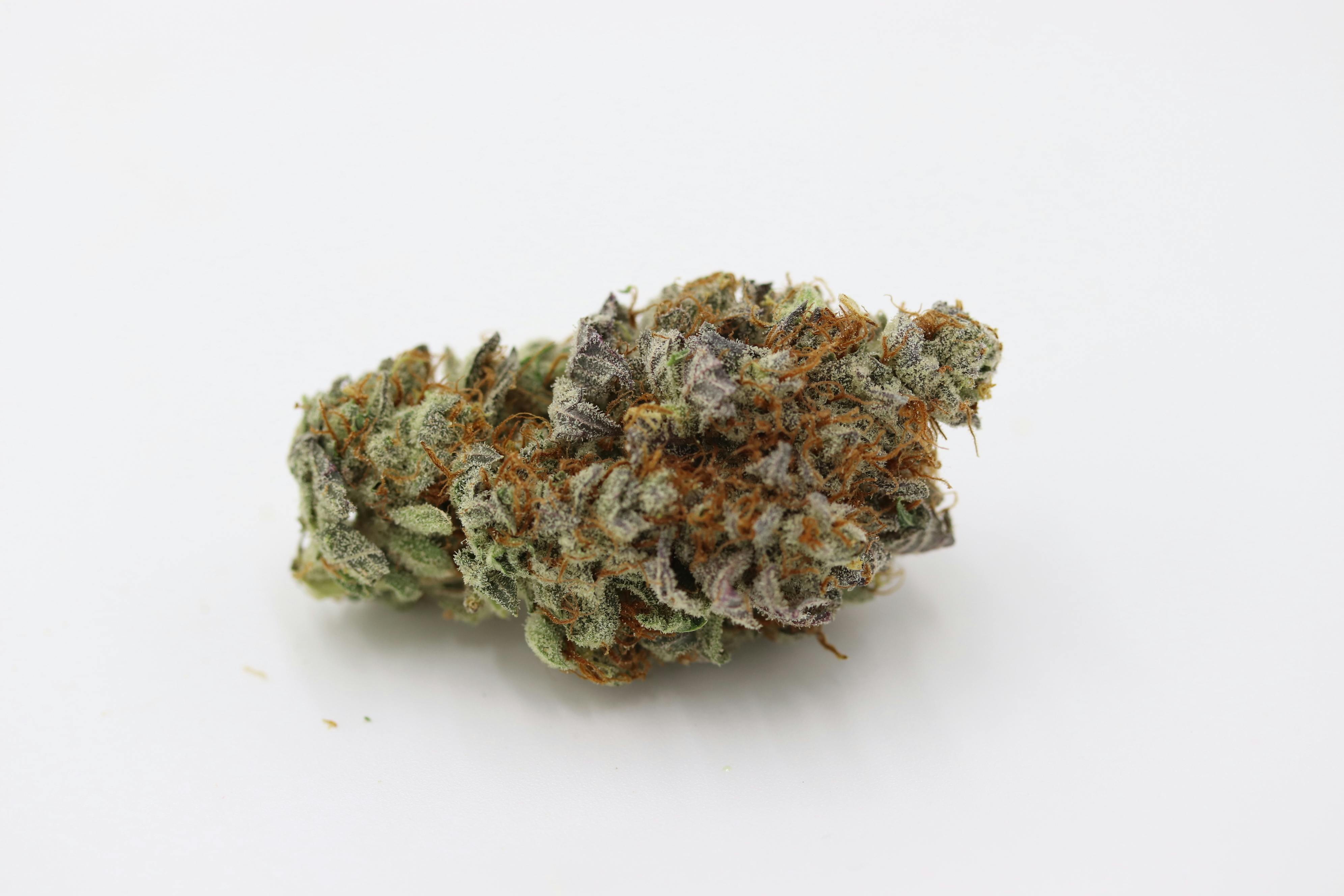Elevation 207 - Jet Fuel - 1