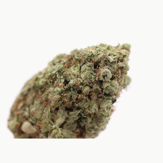 Elevation 207 - Sour Glue - 1