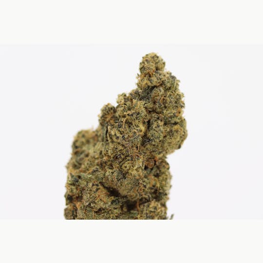Elevation 207 - Cookie Haze - 1