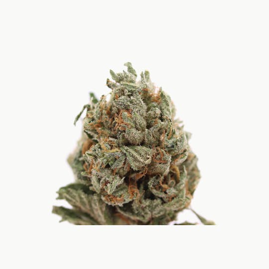 Elevation 207 - Holy Grail Kush - 1