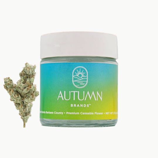 Autumn Brands - Sour Diesel - 1