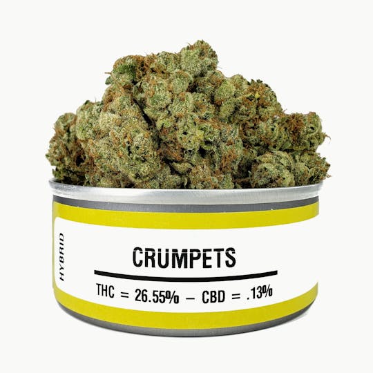 Space Monkey Meds - Crumpets - 1