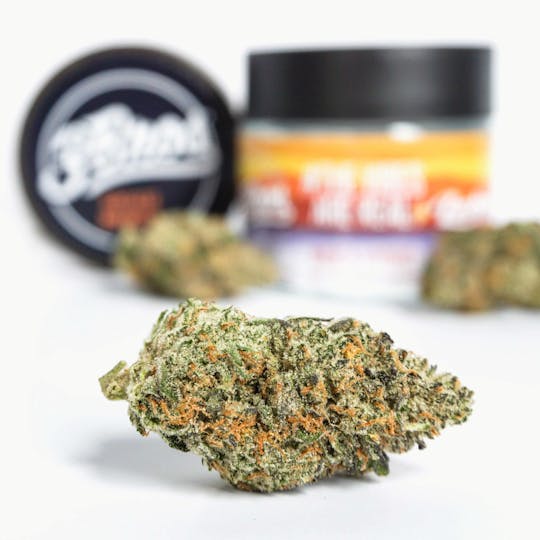 3 Bros Grow - Grease Monkey - 1