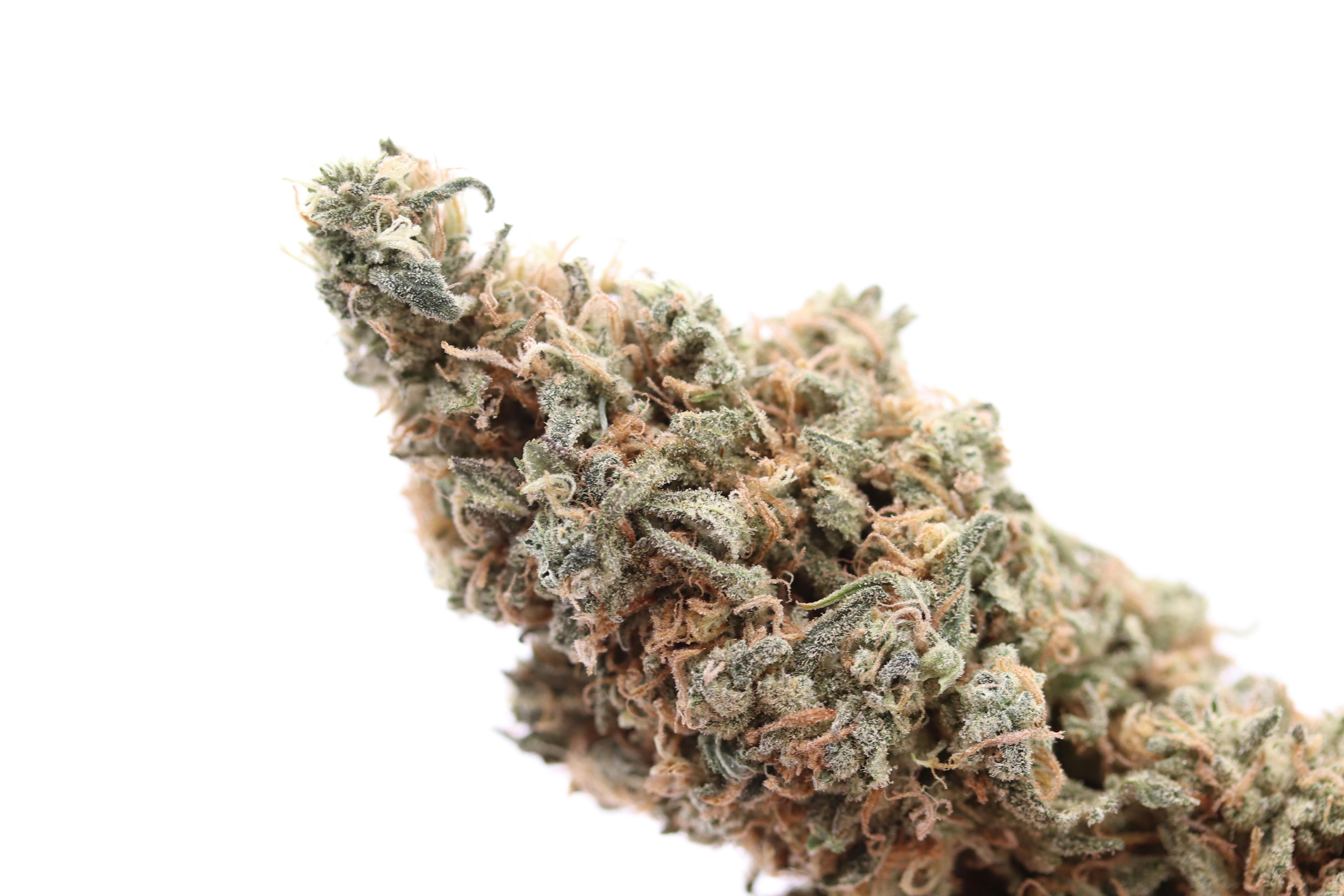 Elevation 207 - Blueberry Pie - 1