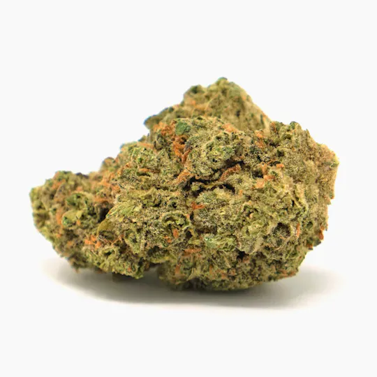 Mayflower Medicinals - Night Terror OG - 1