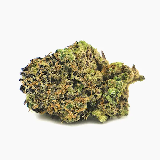 Mayflower Medicinals - Lemon Lime Punch - 50/50 Hybrid - 1