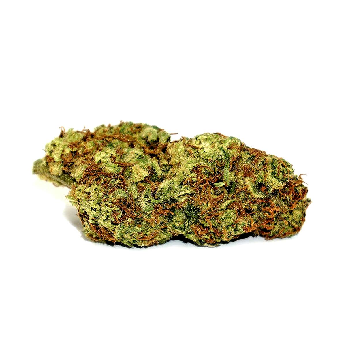 Mayflower Medicinals - Cinderella99 - 80/20 Sativa-Hybrid - 1