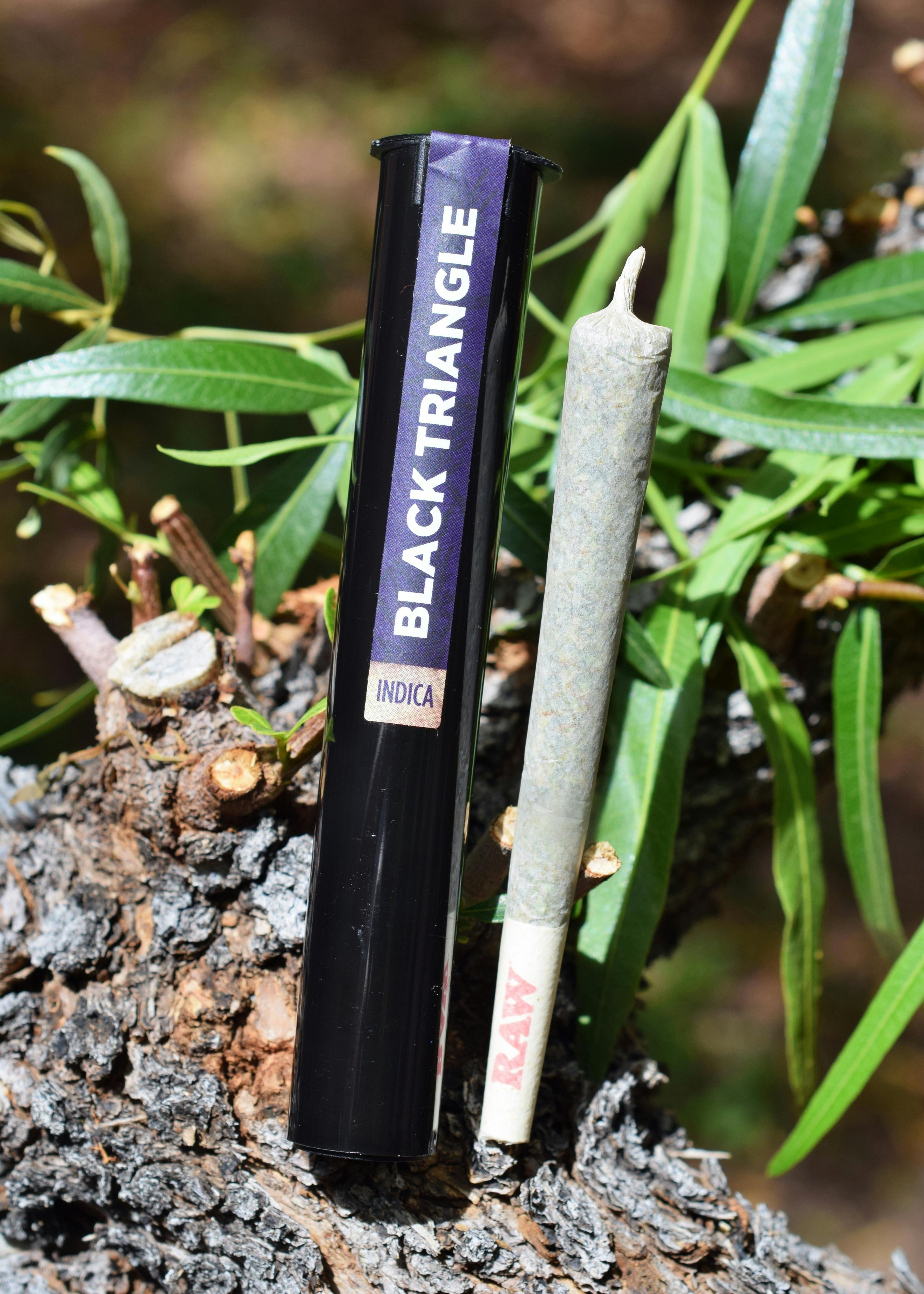 GLP - Black Triangle Pre-Roll - 1