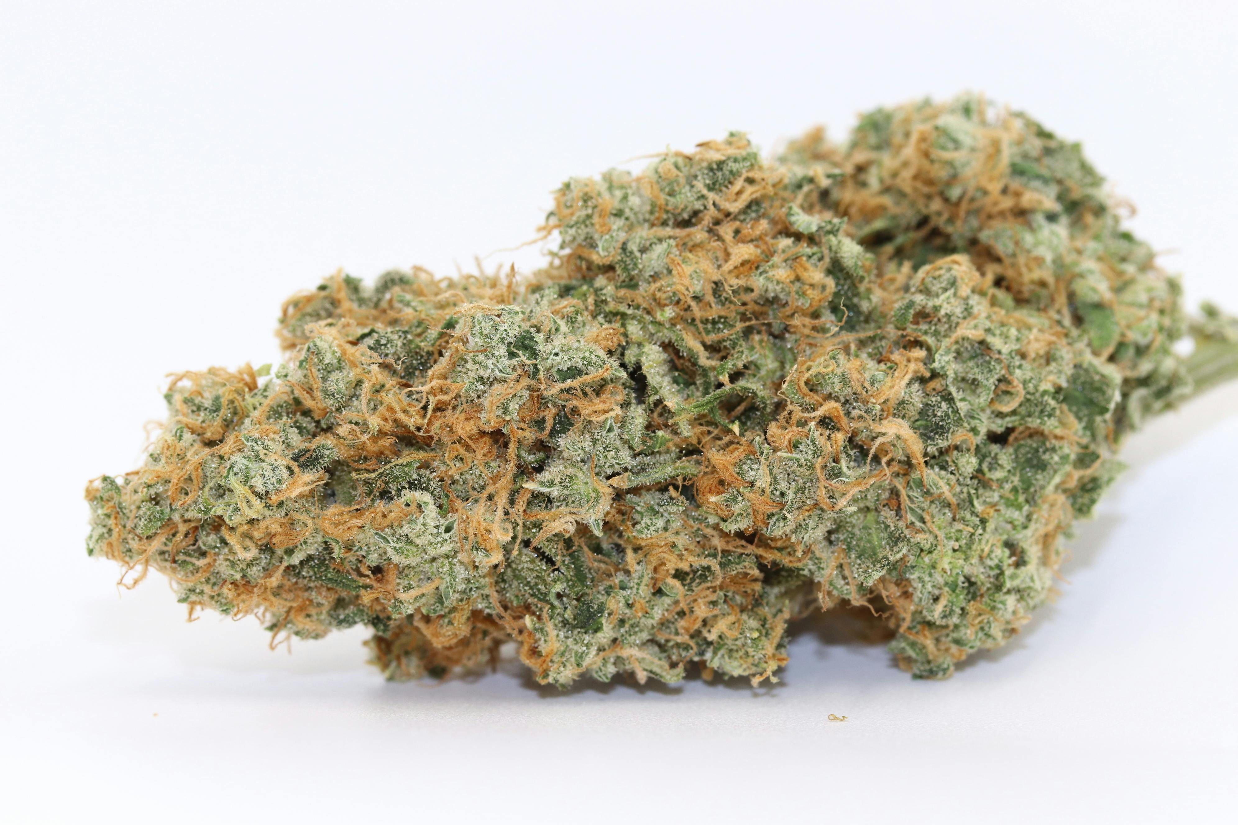 Elevation 207 - Chronic Haze - 1
