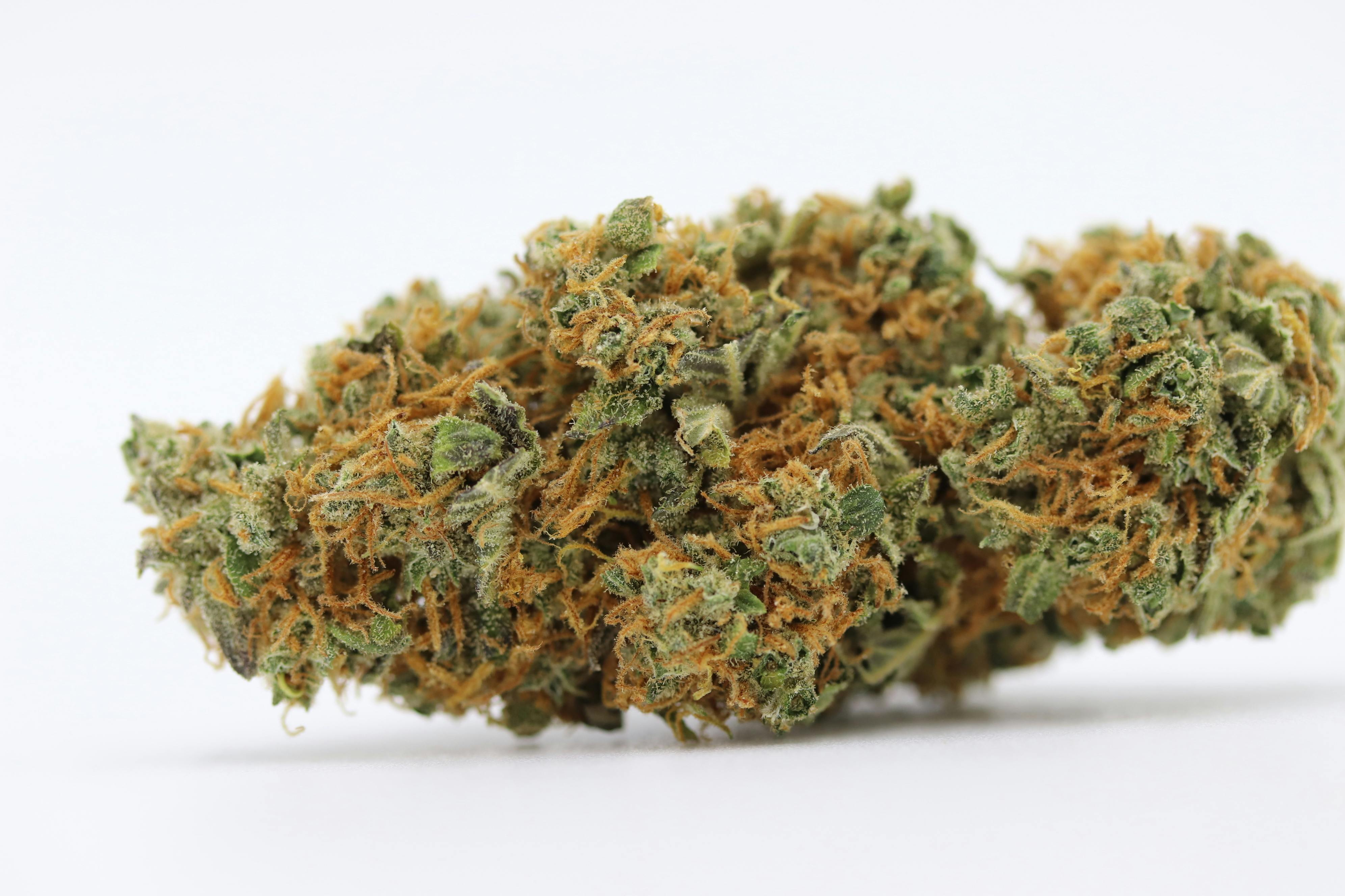 Elevation 207 - Liberty Haze - 1