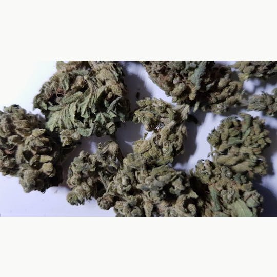 CeBeDe - CeBeDe Hanfblüten Indoor - 10g - 1