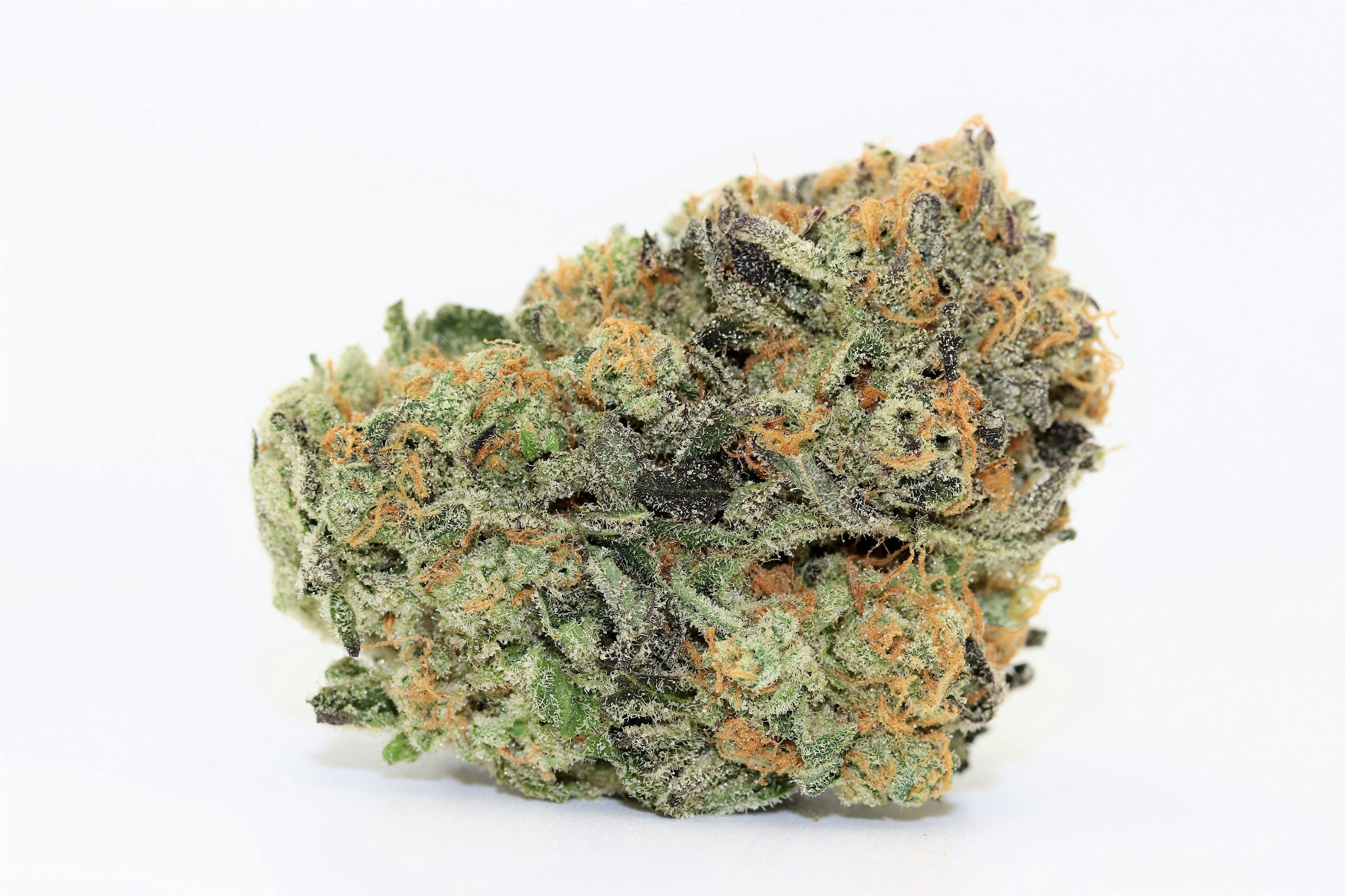 Elevation 207 - Big Smooth * Ultra Premium - 1