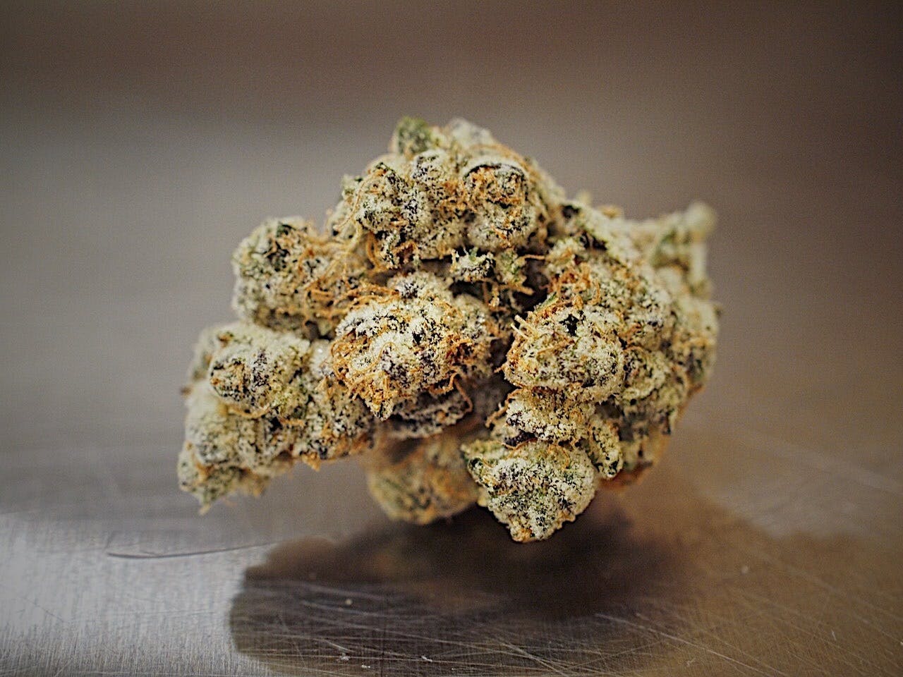 High Tide Organics - Wedding Cake - 1