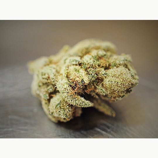 High Tide Organics - Slurricane - 1