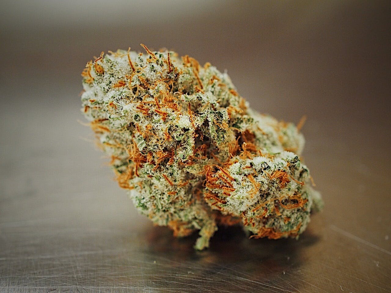 High Tide Organics - Gorilla Glue #4 - 1