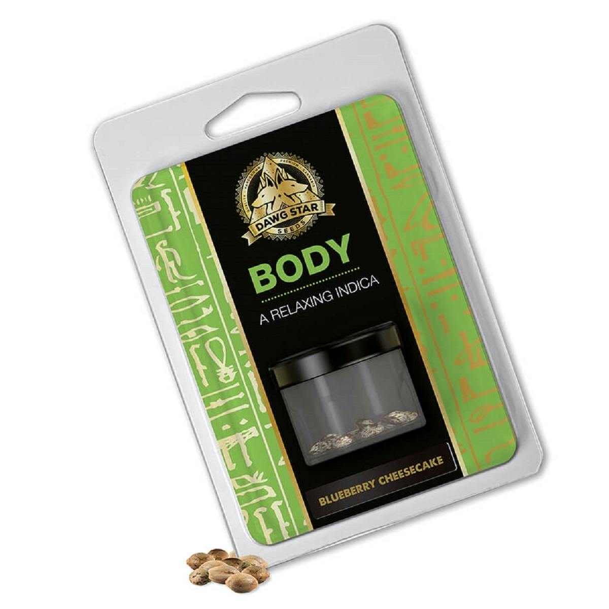 Dawg Star Seeds - BLUEBERRY CHEESECAKE - 1