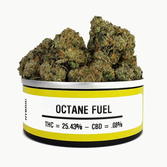 Space Monkey Meds - Octane Fuel - 1