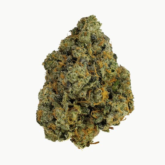 Space Monkey Meds - Jetlato - 1
