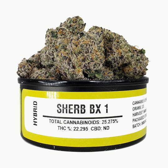 Space Monkey Meds - Sherb BX1 - 1