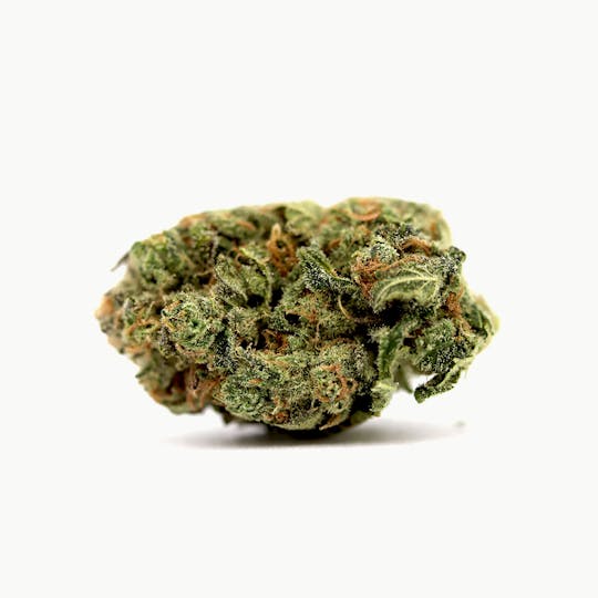 Double Dog Delicacies - Ghost Train Haze - 1