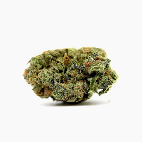 Double Dog Delicacies - Ghost Train Haze - 1