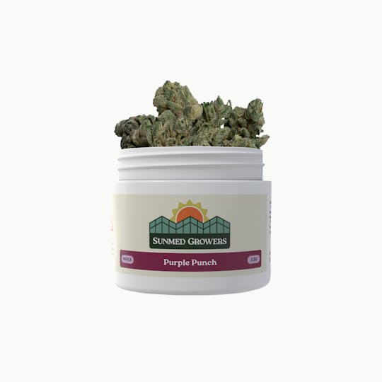 SunMed Growers - Purple Punch Flower (3.5g) - 1